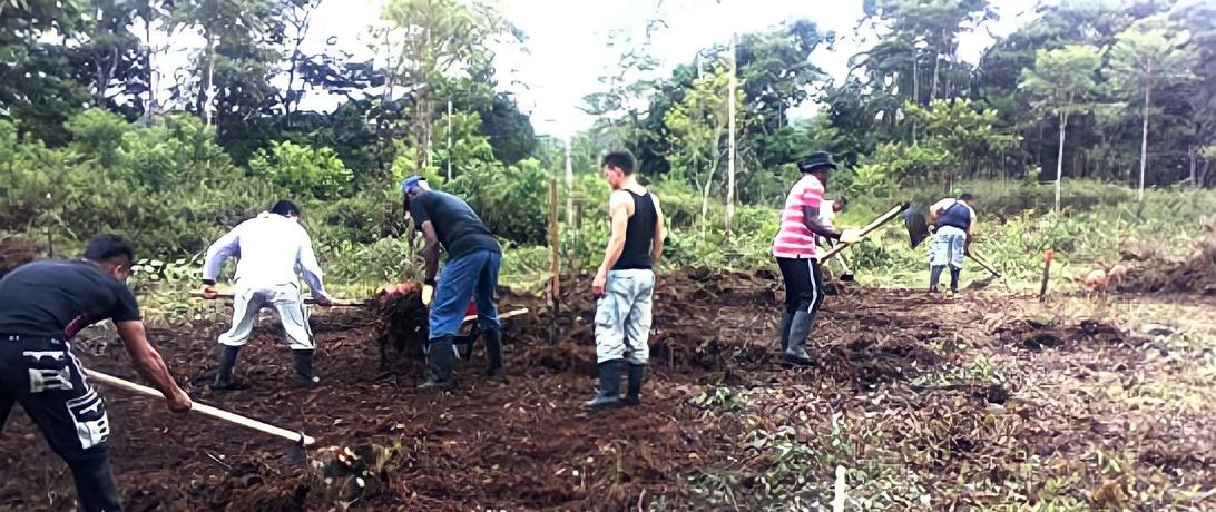 Colombian School for Farming
