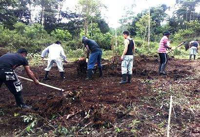 Colombian School for Farming