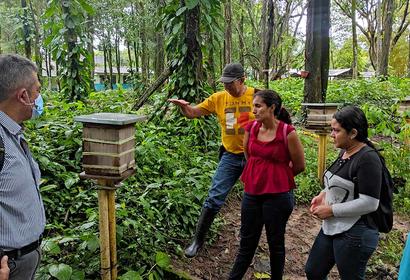 Recorrido por las colmenas con estudiantes